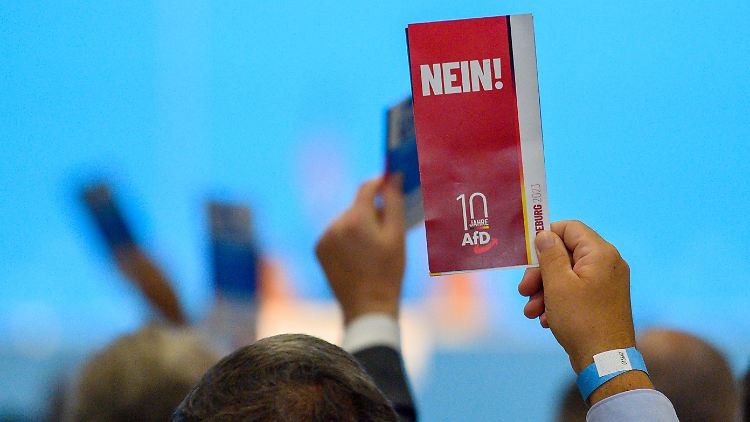 Die AfD sieht sich in einem "juristischen Abwehrkampf gegen das Bundesamt für Verfassungsschutz".