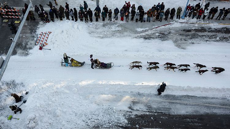 Der Iditarod ist das längste Hundeschlittenrennen der Welt.