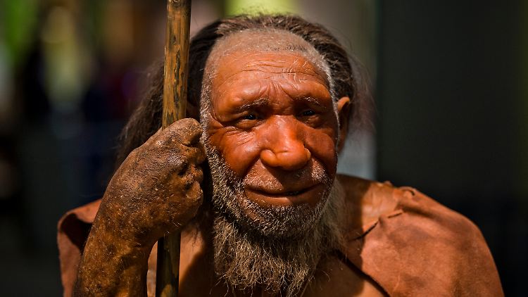 Für Neandertaler war das Fettleber-Gen vermutlich von Vorteil.