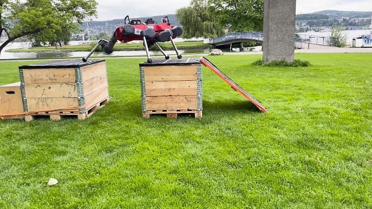 Der Roboterhund bei seinem Training. 