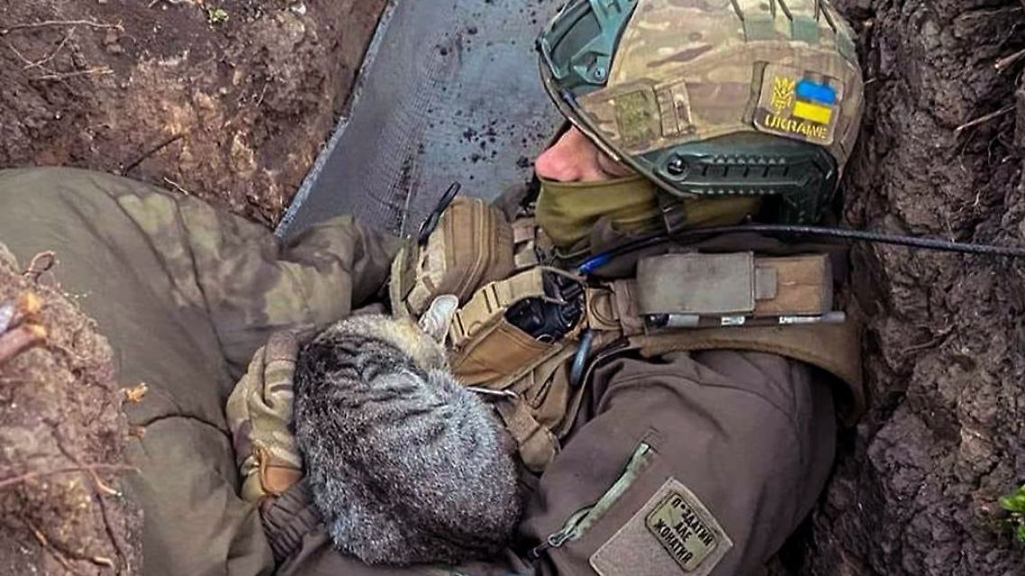 Eine Katze liegt auf dem Arm eines Soldaten, der in einem Schützengraben liegt. Katzen werden an der Front eingesetzt, um Nagetierpopulationen zu bekämpfen, aber sie sind auch zu Gefährten der Soldaten geworden, die ihnen mitten im Krieg Trost spenden.