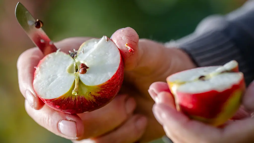 Ein-Apfel-wird-in-zwei-Haelften-geteilt