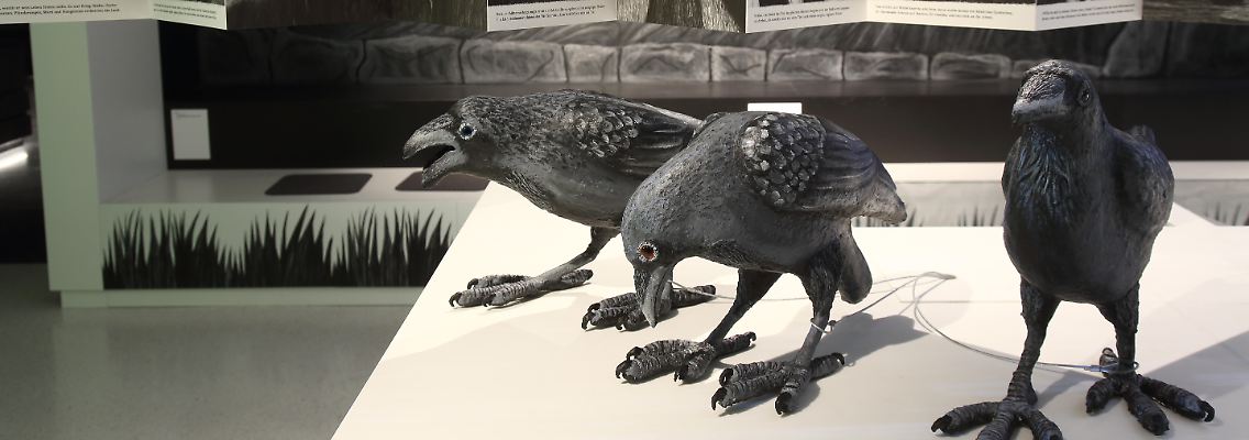 431915911.jpg