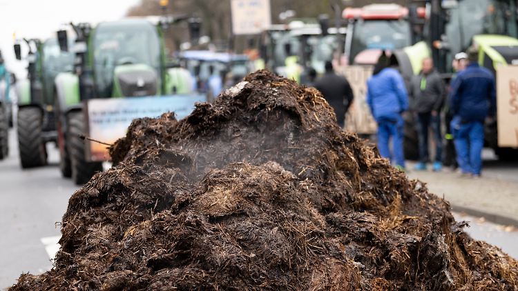 Bauern protestierten gegen Pläne der Bundesregierung, ihnen gewährte Subventionen zu streichen - auch mit Misthaufen.