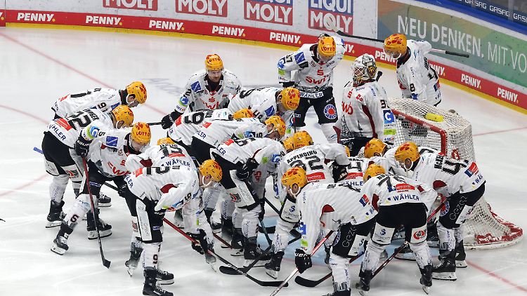 Die Fischtown Pinguins sind das Überraschungsteam der Saison. 