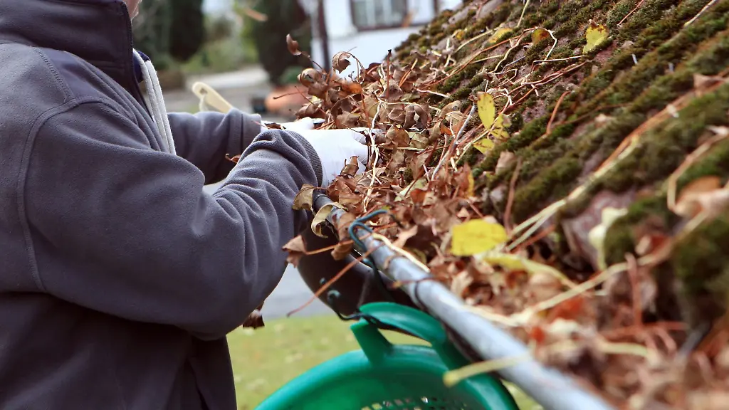 Hausbesitzer-sollten-Regenrinnen-regelmaessig-von-Laub-befreien-Andernfalls-drohen-Wasserschaeden
