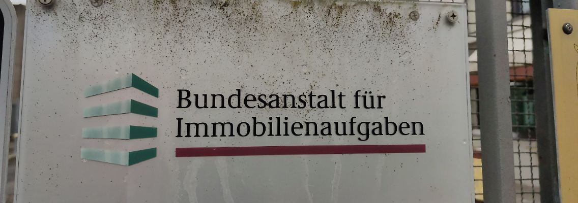 443861467.jpg