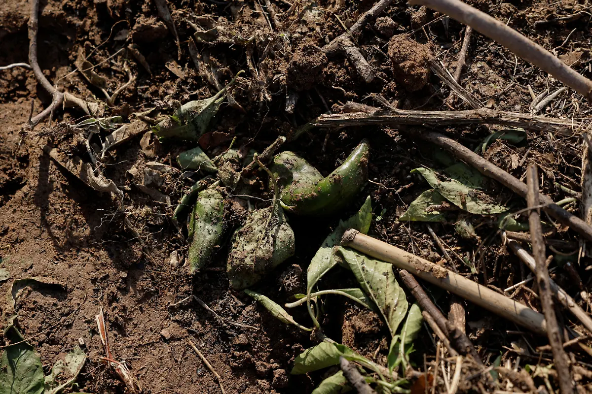 2023-11-21T070651Z-751516202-RC2VM3AO3LPP-RTRMADP-3-CLIMATE-UN-GREECE-WEATHER