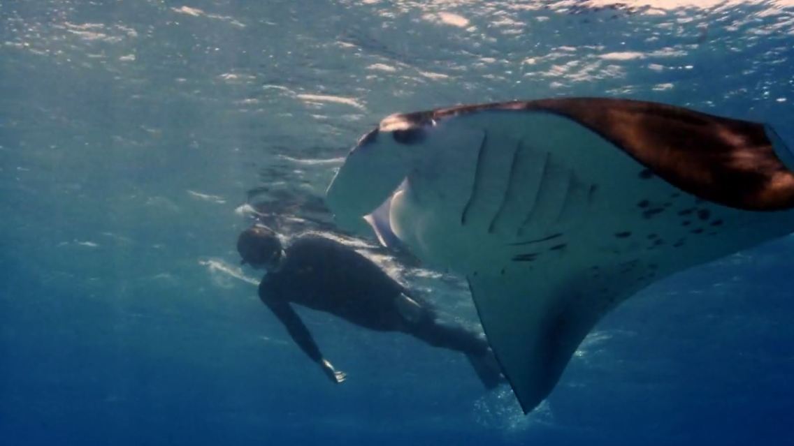 ocean_film_tour.JPG