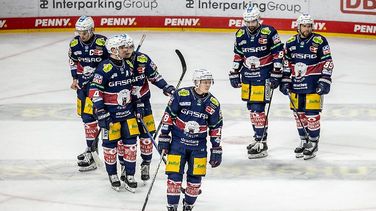 Gedemütigte Eisbären.
