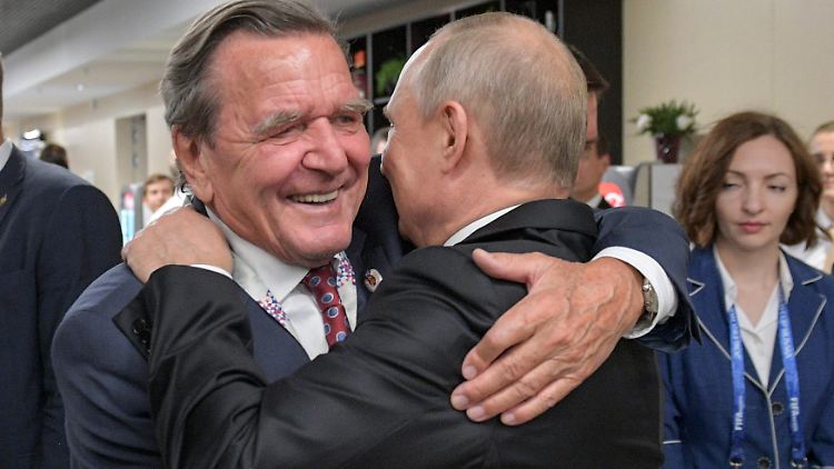 Ist bei der Lieferung von Taurus-Marschflugkörpern ganz auf Linie mit Kanzler Scholz: Ex-Kanzler Schröder. Das freut Russlands Präsidenten Putin.