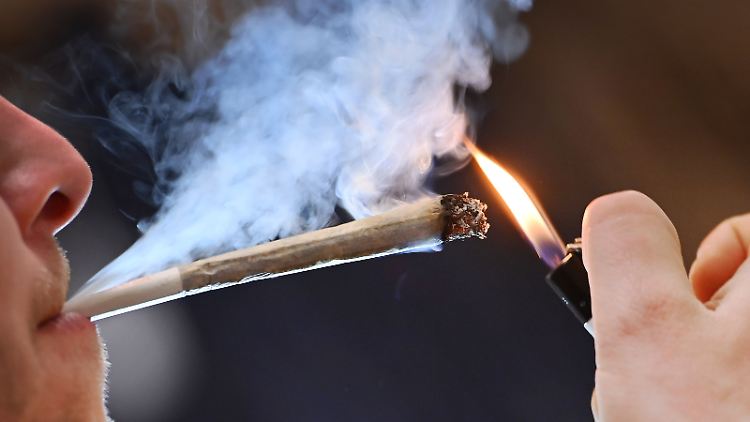 Berechtige Einwände von Medizinern und Juristen: Kinderärzte sehen in der Cannabisfreigabe eine Gefahr.