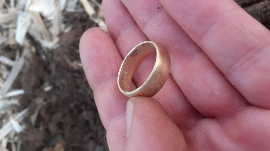 Das-Foto-zeigt-einen-Ehering-aus-dem-Jahr-1964-den-der-Forstinninger-Tom-Gottmann-in-der-Hand-haelt