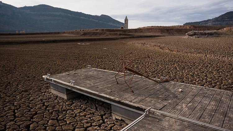 Weltweit werden im vergangenen Jahr zahlreiche Temperaturrekorde gerissen. 