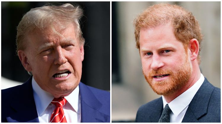 Haben nicht gerade ein freundschaftliches Verhältnis: Donald Trump (l.) und Prinz Harry.