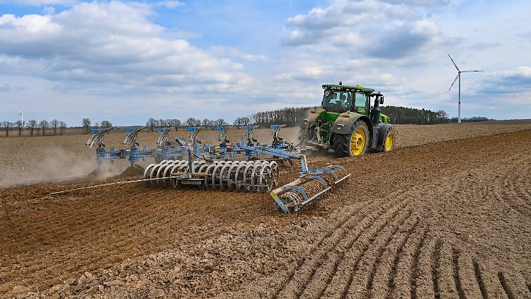 Es gehe um steuerliche Entlastungen, Entbürokratisierung und Abbau von Wettbewerbsnachteilen, heißt es von den Landwirten.