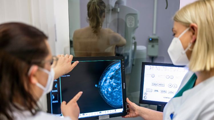 Per Mammographie wird die Brust einer Frau untersucht: Brustkrebs ist laut BfS-Angaben die häufigste Krebserkrankung bei Frauen.