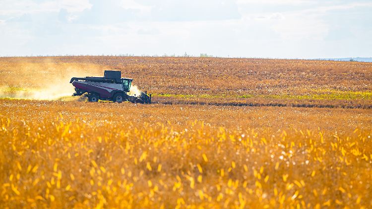 Eigentlich wollte die EU die Ein- und Ausfuhr von russischen  Agrarprodukten nicht beschränken. Die Zölle sollen nun nicht als Sanktionen gelten.