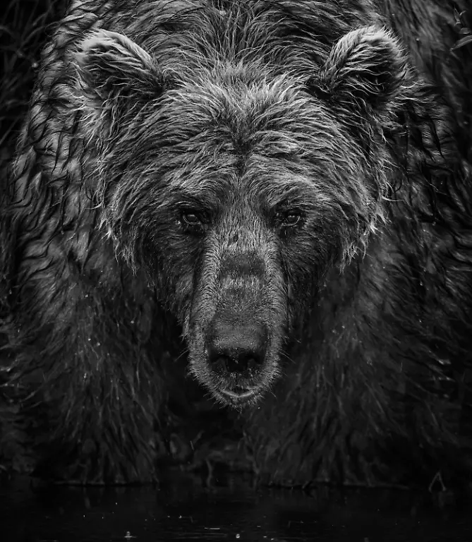 NUR-FUeR-AUSSTELLUNG-Wet-Wet-Wet-David-Yarrow