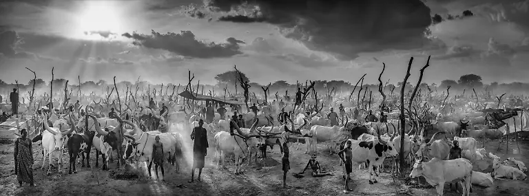 NUR-FUeR-AUSSTELLUNG-The-New-Testament-David-Yarrow