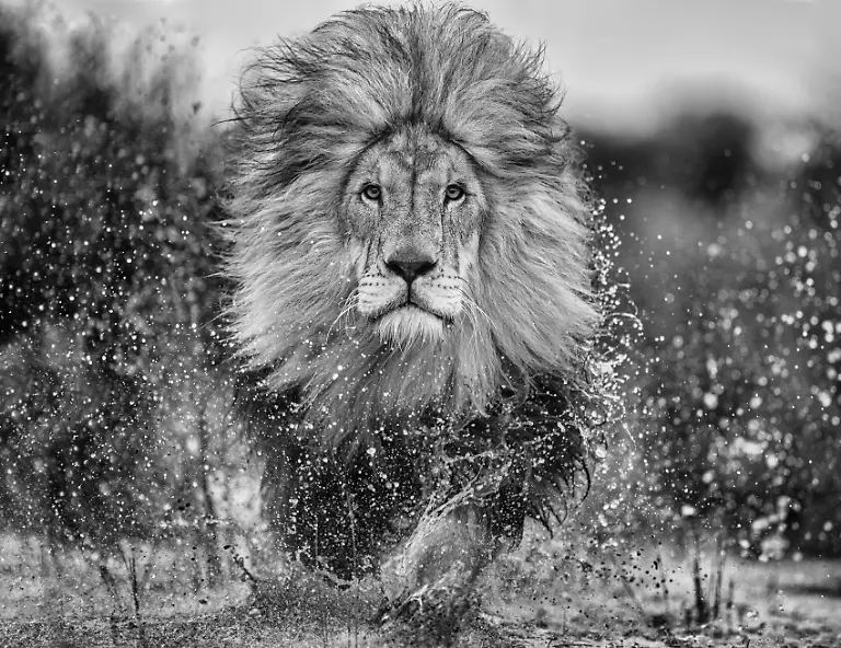 NUR-FUeR-AUSSTELLUNG-Marshlands-David-Yarrow