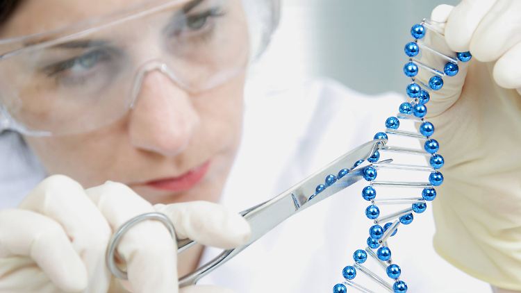 Mit Crispr/Cas wird natürlich auf molekularer Ebene gearbeitet. 