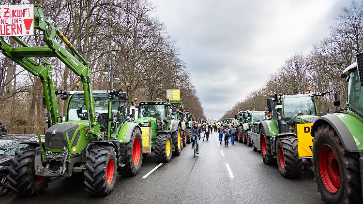 Schrittweise soll der Betrag verringert werden, den sich Betriebe zurückerstatten lassen können. Dagegen hatten zahlreiche Bauern protestiert.