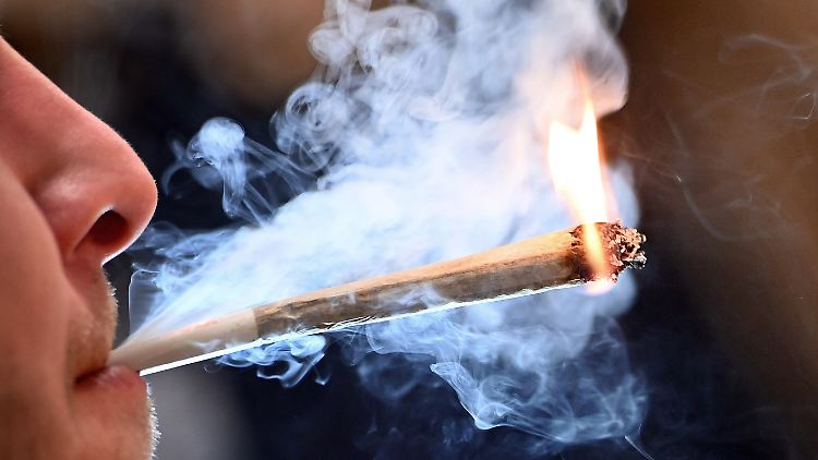 Man darf Cannabis künftig zwar anbauen, der Verkauf bleibt aber vorerst illegal. 