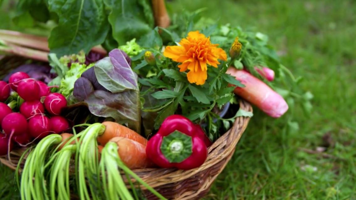 garten_apps.JPG