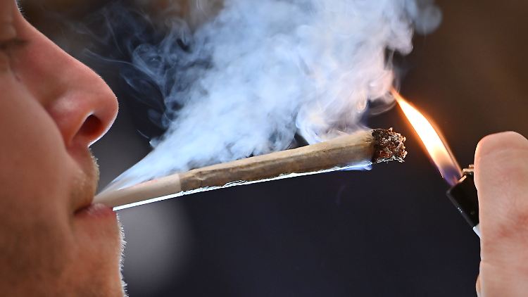 Bisher gibt es für Cannabis am Steuer keinen gesetzlichen Grenzwert wie die 0,5-Promille-Marke bei Alkohol.