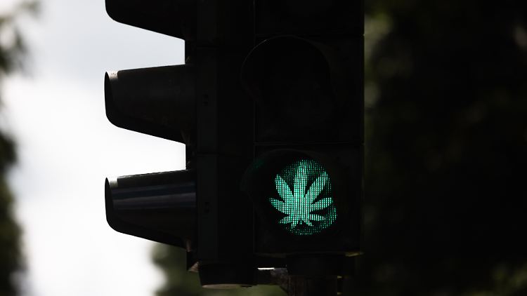 Ein Aufkleber lässt eine grüne Ampel als Hanfblatt erstrahlen.