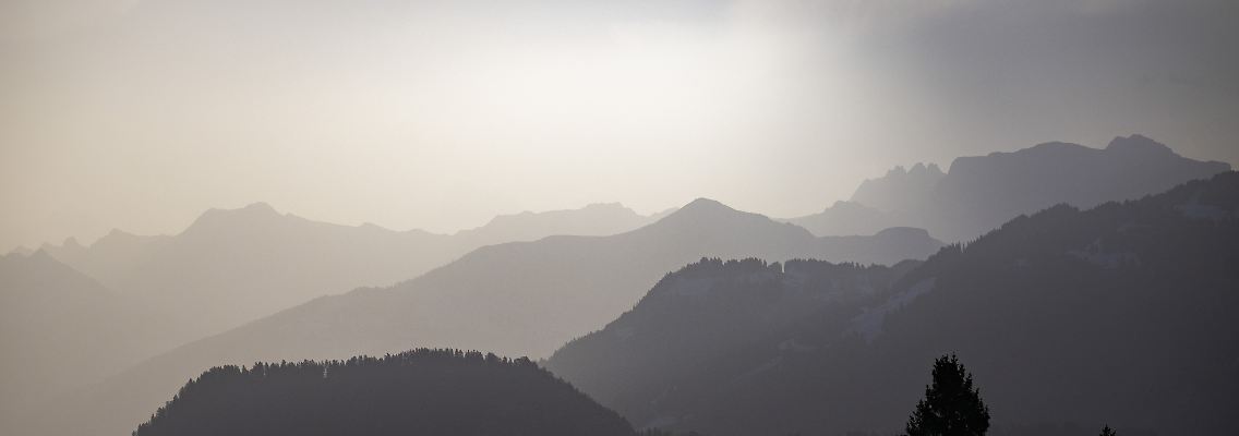 455086669.jpg