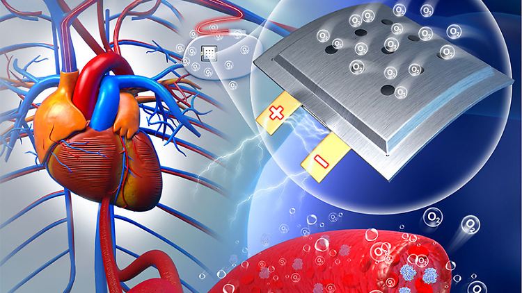 Die implantierbare und biokompatible Batterie: Die Forschenden können sich viele Anwendungen vorstellen - in Herzschrittmachern, aber auch bei der Krebsbehandlung.