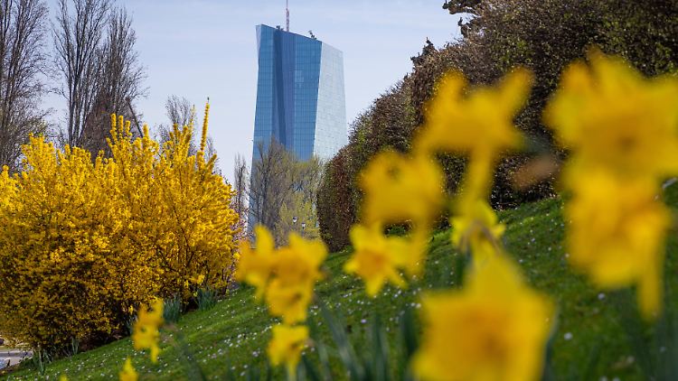 "Der April ist nicht auf meinem Radarschirm", sagt Österreichs Notenbank-Chef Robert Holzmann.