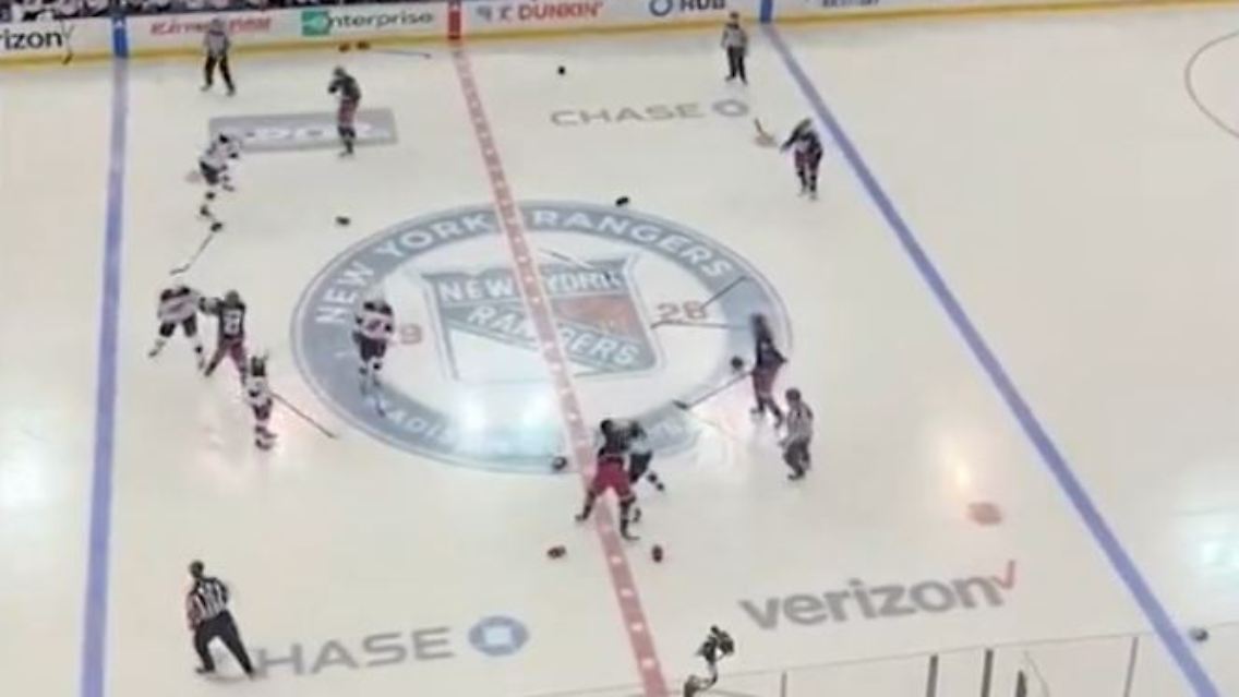 NHLSchlägerei.JPG