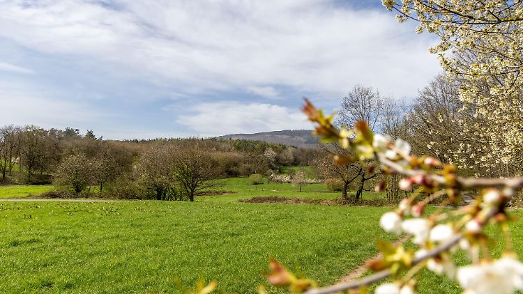Bislang war der 15. April der früheste Tag im Jahr mit Temperaturen von 30 Grad. Das war 2007. Dieser Rekord wackelt in diesem Jahr.