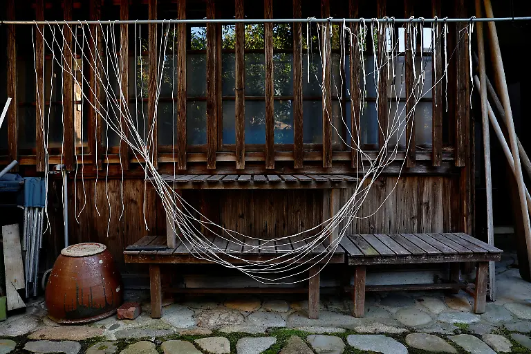 2023-11-13T230038Z-39185765-RC2V43A2M82N-RTRMADP-3-CLIMATE-CHANGE-JAPAN-CORMORANTS