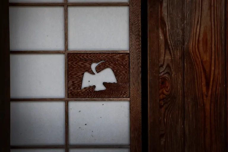 2023-11-13T230108Z-1164005032-RC2D53AUAC9L-RTRMADP-3-CLIMATE-CHANGE-JAPAN-CORMORANTS