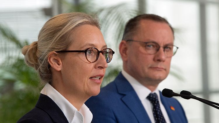 Die Partei- und Fraktionsvorsitzenden Alice Weidel und Tino Chrupalla fordern von Bystron eine schriftliche Stellungnahme.