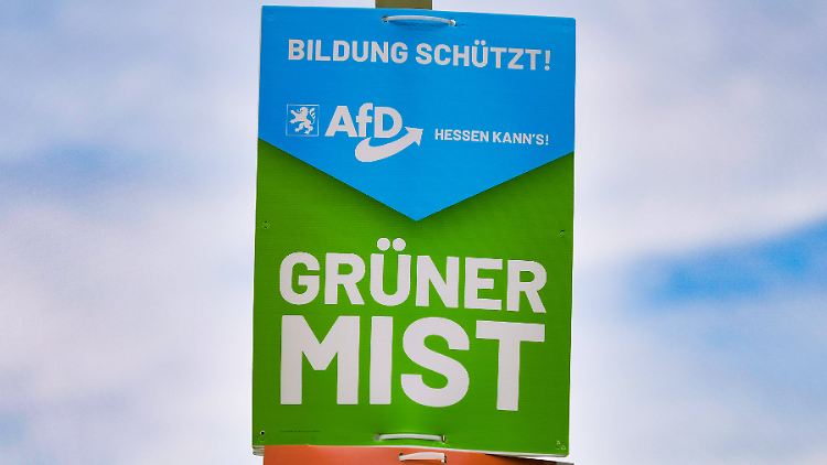 Verbal teilt die AfD gern mal aus, einige Mandatsträger der Partei sind aber auch mit physischen Attacken bereits aufgefallen.