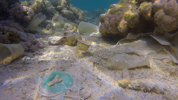 Plastikmüll, wie dieser, ist in allen Meeren zu finden.