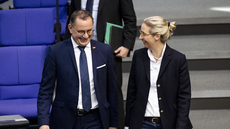 AfD-Vorsitzende Tino Chrupalla und Alice Weidel