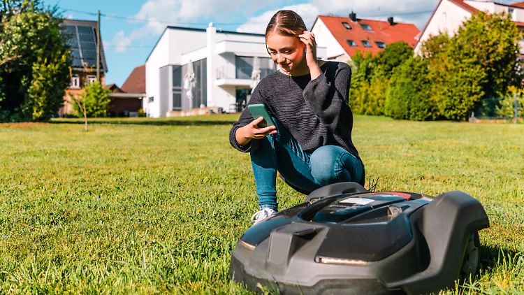 Mähroboter unter 1.000 Euro: Diese Modelle schneiden gut ab.