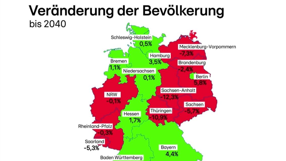 studie.JPG