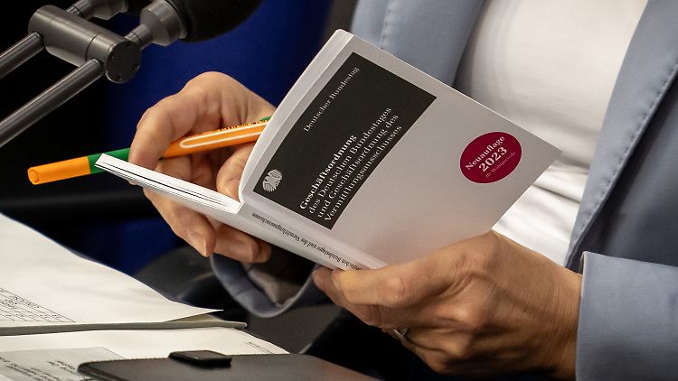 Bundestagsvizepräsidentin Aydan Özuguz blättert während der Aktuellen Stunde in der Geschäftsordnung des Bundestags. Später verhängte sie einen Ordnungsruf gegen die Abgeordnete Beatrix von Storch.