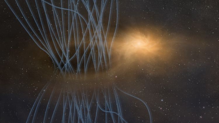 Ein Baby-Stern, umgeben von einer hellen Scheibe, der sogenannten protostellaren Scheibe. Spitzen des magnetischen Flusses, Gas und Staub leuchten in Blau.
