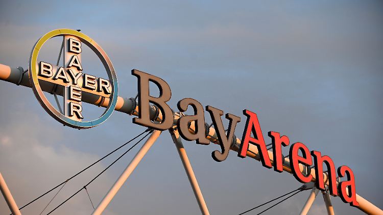 Bayer und der Verein sind tiefer miteinander verwoben als andere Klubs. 