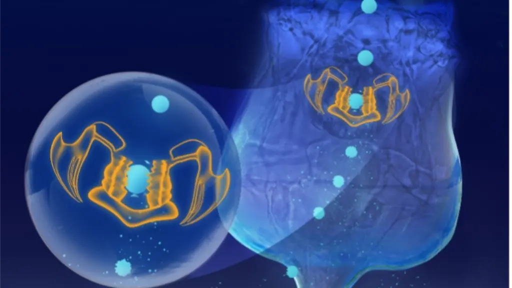 urn-binary-dpa-com-20090101-231109-99-884914-FILED