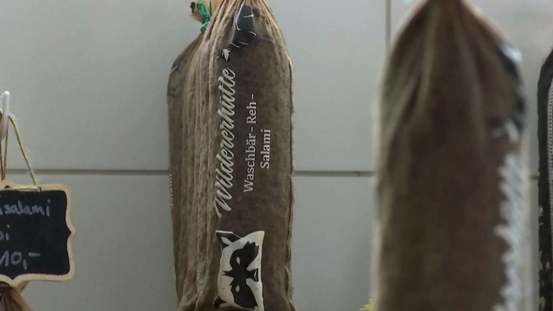 waschbär.JPG