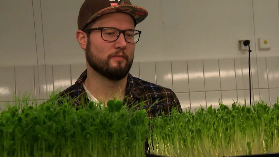 microgreens2.JPG